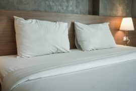 Punaises de lit : ce qui se passe réellement sous votre matelas